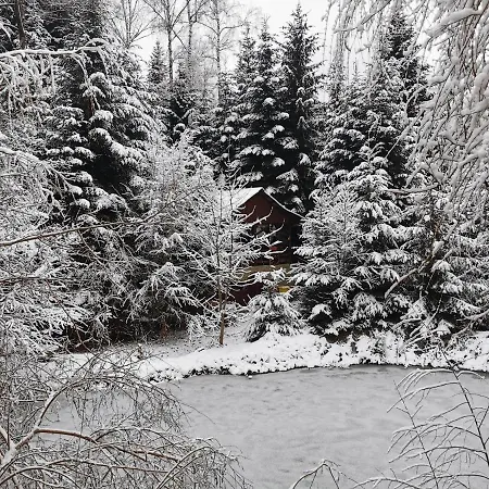 Camping Pensiunea Ionela *