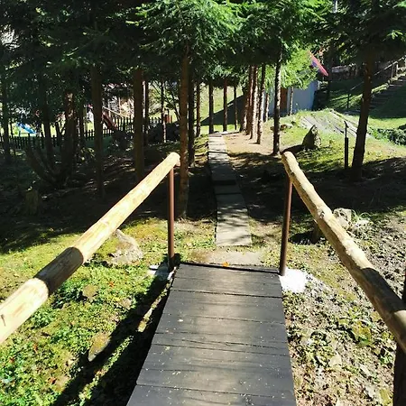 Camping Pensiunea Ionela