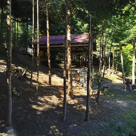 Camping Pensiunea Ionela Zemes