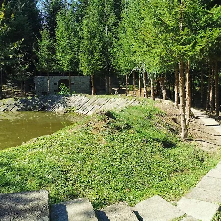 Camping Pensiunea Ionela *
