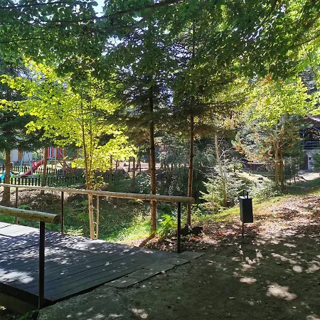 Pensiunea Ionela Camping *