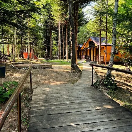 Camping Pensiunea Ionela