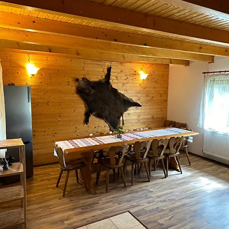Camping Pensiunea Ionela Zemes