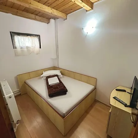 Pensiunea Ionela Camping