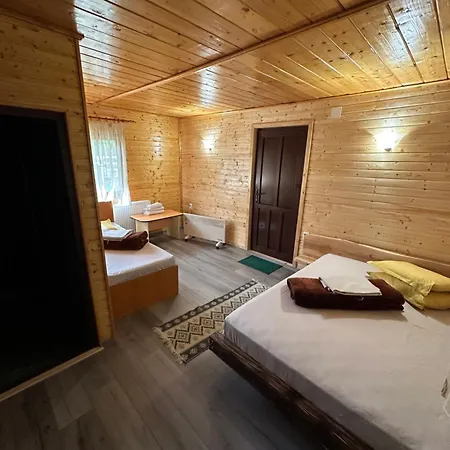 Pensiunea Ionela Camping Zemes